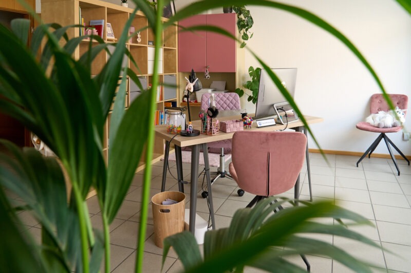Ein Blick durch ein paar Pflanzen im Vordergrund auf meinen Schreibtisch mit PC-Arbeitsplatz, einem Stuhl für Gäst:innen und ein Regal mit einigem Büchern und Arbeitsmitteln im Hintergrund.